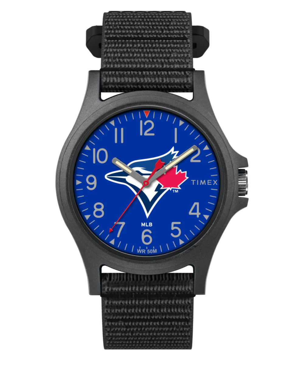 Pride Toronto Blue Jays